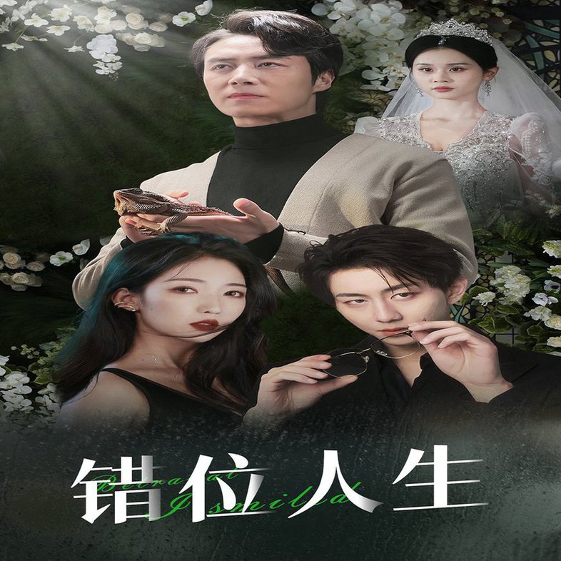 错位人生 养大他人的儿子后我笑了全集