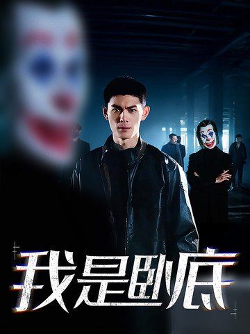 我是卧底全集