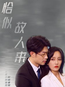 恰似故人来全集