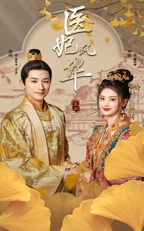 医妃风华全集