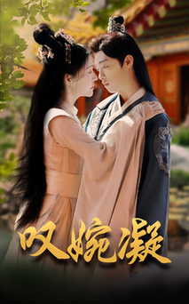 叹婉凝全集