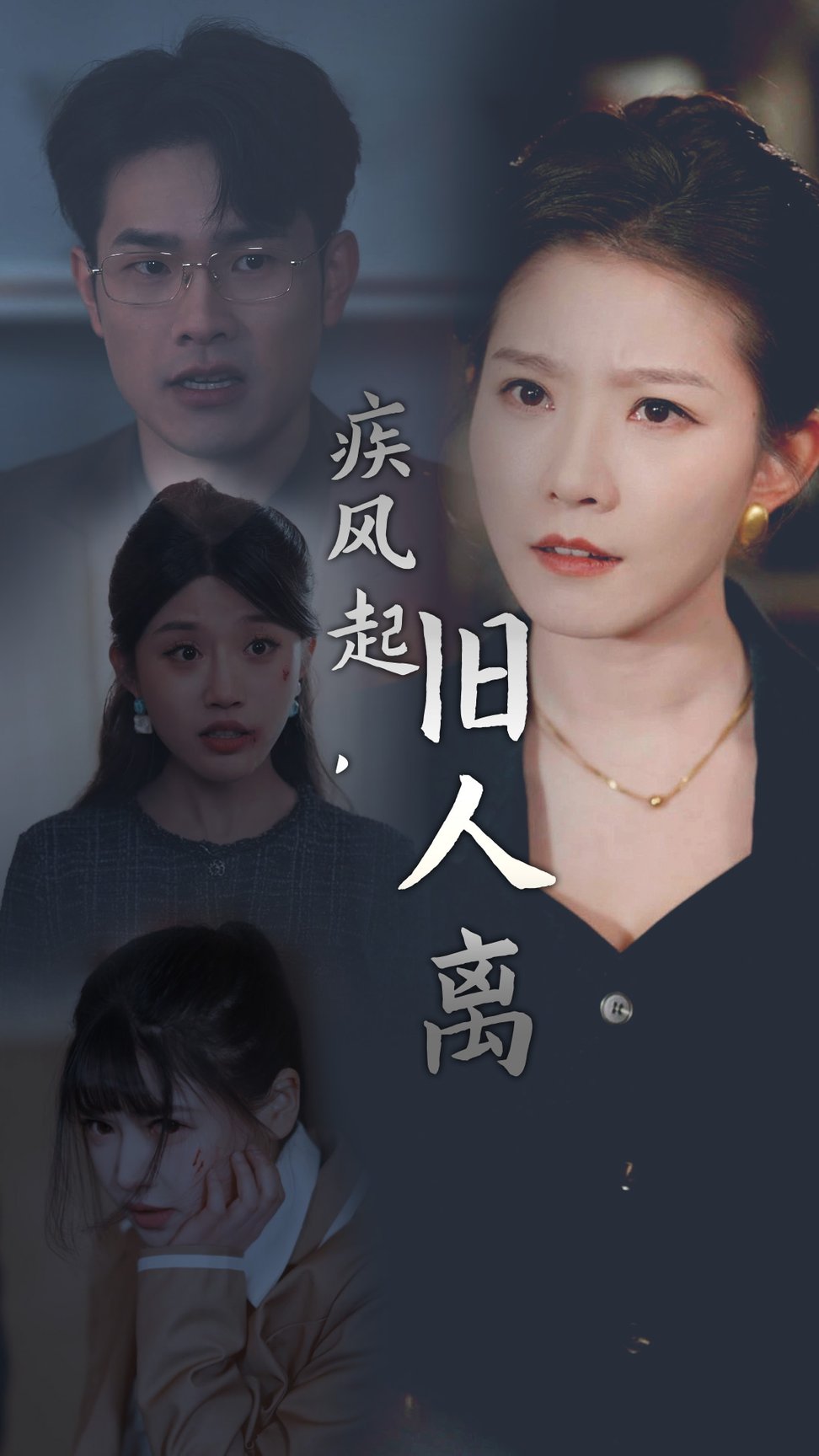 疾风起旧人离全集