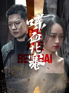 喋血北寨全集