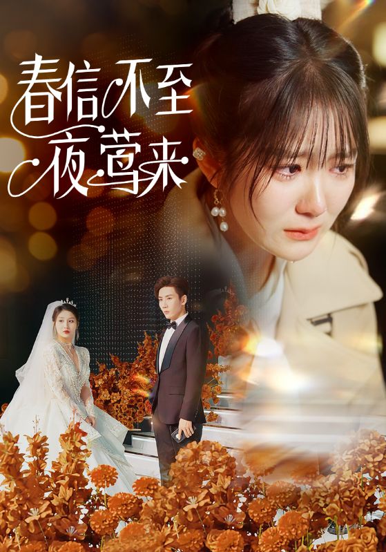 春信不至夜莺来全集