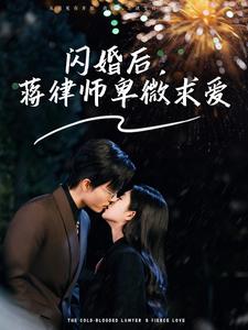 闪婚后蒋律师卑微求爱 闪婚后高冷律师疯狂宠全集