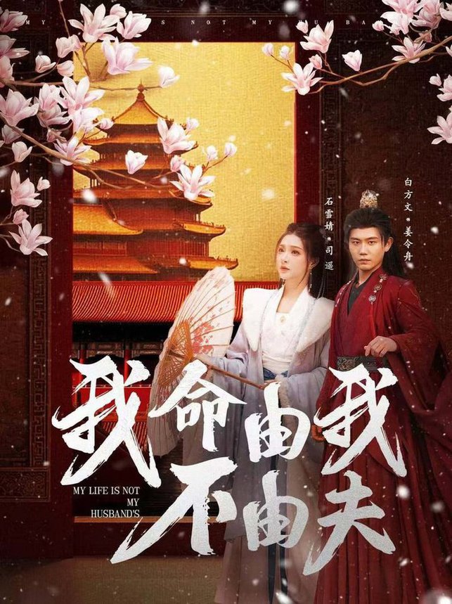 我命由我不由夫全集