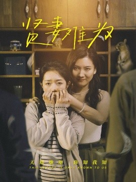 贤妻难为全集
