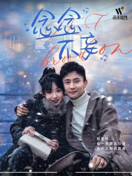 念念不妄全集
