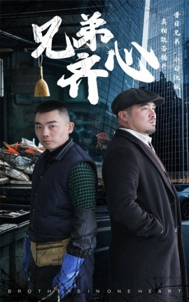 兄弟齐心全集