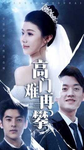 高门难再攀全集