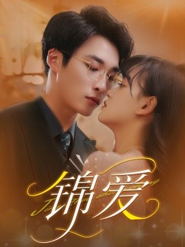 锦爱全集