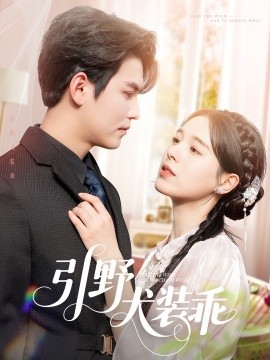 引野犬装乖全集