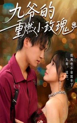 九爷的重燃小玫瑰全集