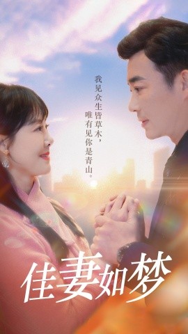佳妻如梦短剧全集