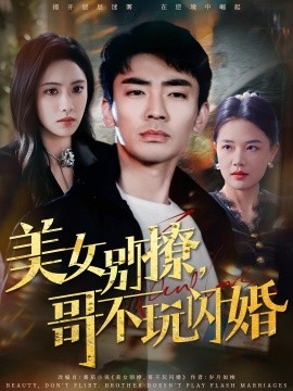 美女别撩，哥不玩闪婚全集
