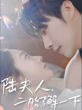 陆夫人，二胎了解一下全集