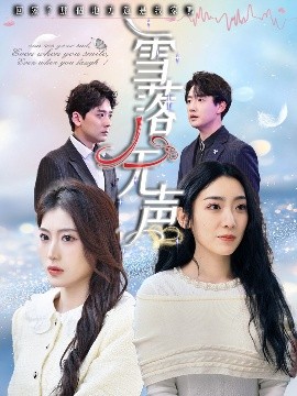 雪落无声全集