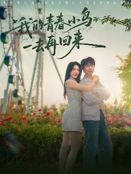 我的青春小鸟一去再回来全集