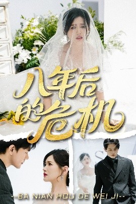 八年后的危机全集