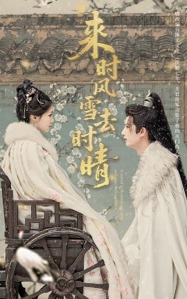 来时风雪去时晴全集