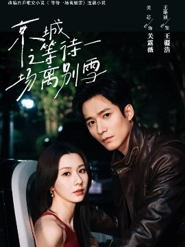 京城之等待一场离别雪全集