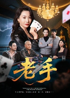 老手全集