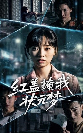 红盖掩我状元梦全集