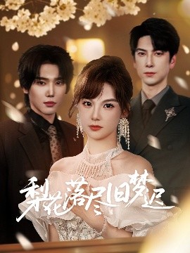 梨花落尽旧梦迟全集