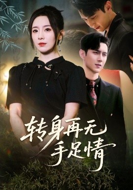 转身再无手足情全集