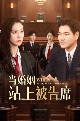当婚姻站上被告席全集