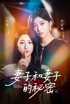 妻子和妻子的秘密全集