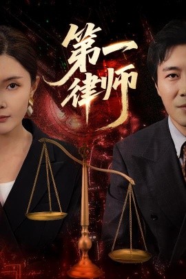 第一律师全集