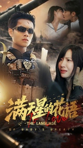 满天星的花语全集
