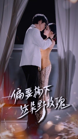 偏要摘下这朵野玫瑰全集