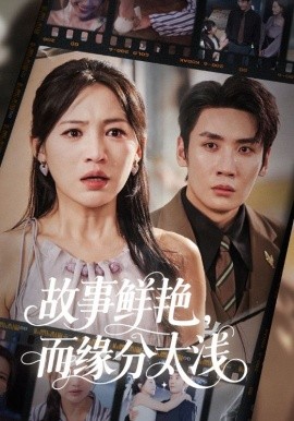 故事鲜艳而缘分太浅全集