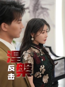 涅槃反击全集