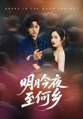 明月今夜至何乡全集