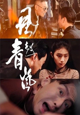 风起青岚全集