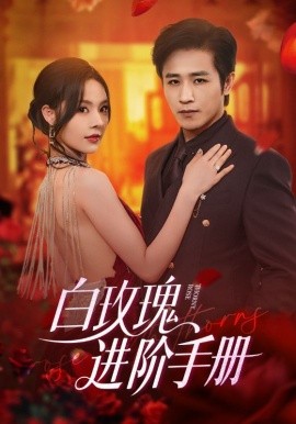 白玫瑰进阶手册全集