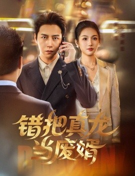 错把真龙当废婿全集
