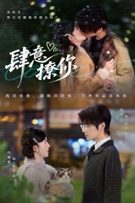 肆意撩你全集