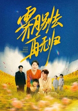 霁月别去再无归全集