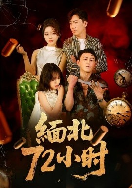 缅北72小时全集