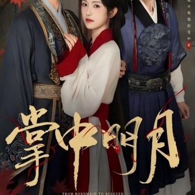 掌中明月全集