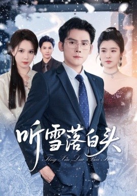听雪落白头全集