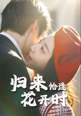 归来恰逢花开时全集