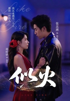 似火全集