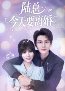 陆总今天要离婚全集