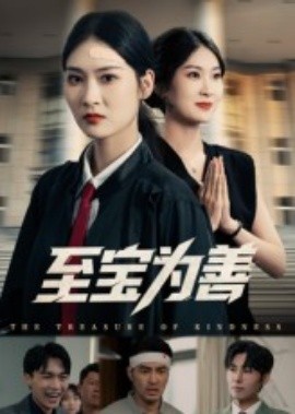 至宝为善全集