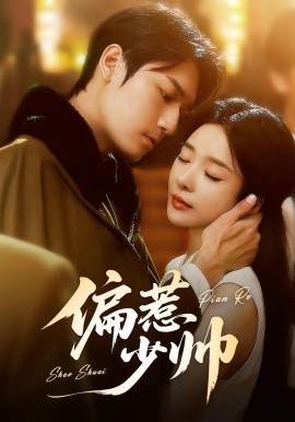 偏惹少帅全集